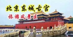 chinese叫床videos东莞中国北京-东城古宫旅游风景区